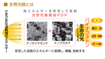 生育光線　図1